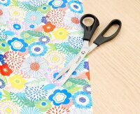 DAHLE Scheren-Set 54600 Home