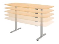HAMMERBACHER Konferenztisch XDSM22 asteiche Tonnenform, T-Fuß-Gestell grau, 220,0 x 103,0 x 62,0 - 127,0 cm