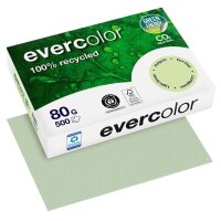 Clairefontaine Recyclingpapier Evercolor hellgrün...