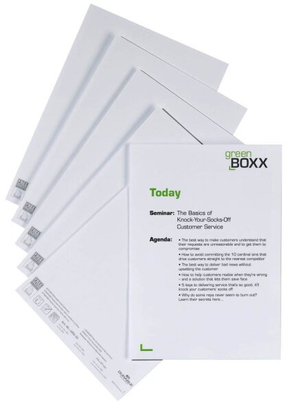 DURABLE Einsteckschilder für Namensschilder DOOR SIGN REFILL 21,0 x 29,7 cm, 10 St.