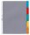 DURABLE Ordnerregister DIN A4 Vollformat, Überbreite blanko transparent 5-teilig, 1 St.