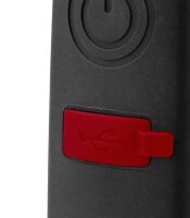 GEDOREred R95600320 LED Handleuchte schwarz 32,0 cm, 1 St.