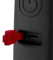 GEDOREred R95600320 LED Handleuchte schwarz 32,0 cm, 1 St.