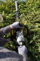 KÄRCHER HT 650/36 Bp Akku-Heckenschere 36,0 V, ohne Akku