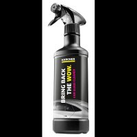 KÄRCHER RM 650 Scheibenreiniger 500 ml, 1 St.