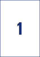 AVERY Zweckform Folien-Versandetiketten L7567-25 transparent 210,0 x 297,0 mm, 25 Blatt