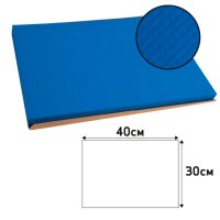 PROnappe Platzsets Tiss Lack blau 30,0 x 40,0 cm, 500 St.