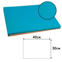 PROnappe Platzsets Tiss Lack türkis 30,0 x 40,0 cm, 500 St.