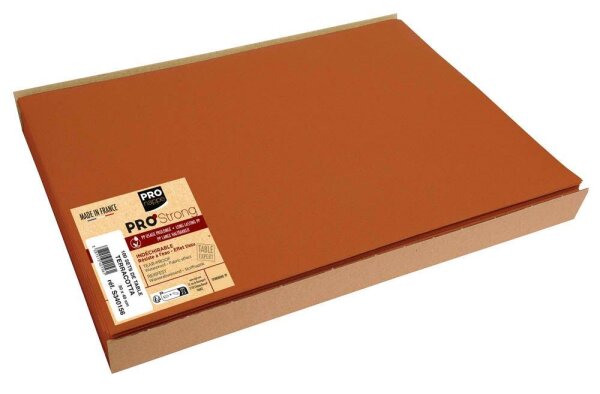 PROnappe Platzsets orange 30,0 x 40,0 cm, 100 St.