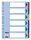 Esselte Ordnerregister DIN A4 Vollformat blanko farbig 6-teilig, 1 Satz