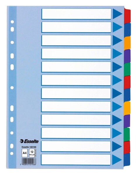 Esselte Ordnerregister DIN A4 Vollformat blanko farbig 12-teilig, 1 Satz