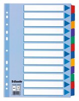 Esselte Ordnerregister DIN A4 Vollformat blanko farbig...