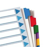 Esselte Ordnerregister DIN A4 Vollformat blanko farbig...