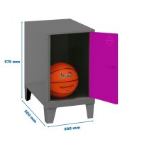 Simonrack Spind SIMONLOCKER DISM anthrazit, pink...