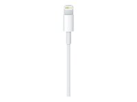 Apple Lightning/USB 2.0 A Kabel 1,0 m weiß, 1 St.