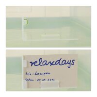 relaxdays Klappbox 60,0 l transparent/grün 59,5 x 39,5 x 31,5 cm, 1 St.