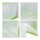 relaxdays Klappbox 60,0 l transparent/grün 59,5 x 39,5 x 31,5 cm, 1 St.