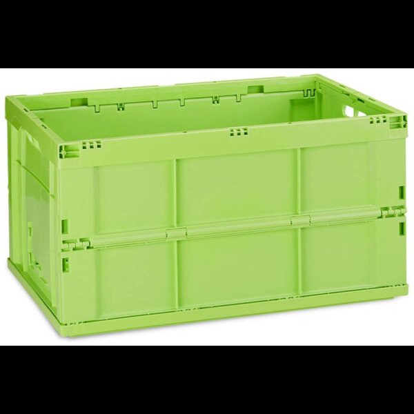 relaxdays Klappbox 60,0 l grün 58,5 x 40,0 x 31,5 cm, 1 St.