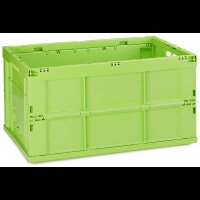 relaxdays Klappbox 60,0 l grün 58,5 x 40,0 x 31,5...