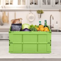 relaxdays Klappbox 60,0 l grün 58,5 x 40,0 x 31,5 cm, 1 St.