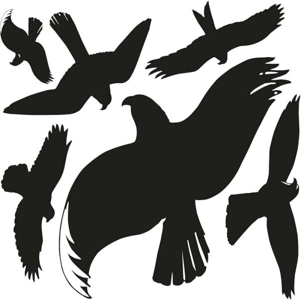 AVERY Zweckform Hinweisaufkleber Warnvögel Vogel 7,6 x 12,0 cm, 6 St.