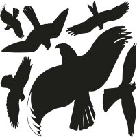AVERY Zweckform Hinweisaufkleber Warnvögel Vogel 7,6...