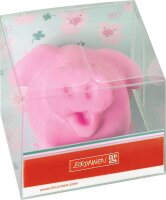 BRUNNEN Radiergummi Glücksschwein pink, 1 St.