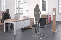 geramöbel Spuckschutz, transparent 100,0 x 80,0 cm, 1 St.