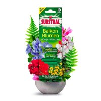 SUBSTRAL® Balkonblumen Düngerstäbchen 10 Stück