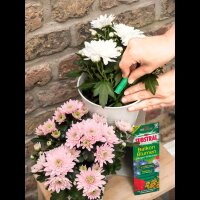 SUBSTRAL® Balkonblumen Düngerstäbchen 10 Stück