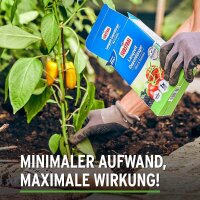 SUBSTRAL® Langzeit Obst- & Gemüsedünger...