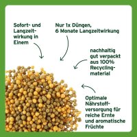 SUBSTRAL® Langzeit Obst- & Gemüsedünger 750,0 g