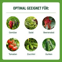 SUBSTRAL® Langzeit Obst- & Gemüsedünger 750,0 g