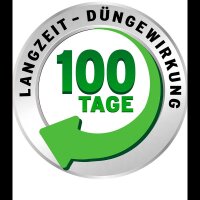 SUBSTRAL® DIE NACHSAAT Rasensamen 2 kg