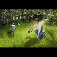 SUBSTRAL® Magisches Rasenpflaster Rasensamen 1,0 kg