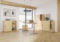 HAMMERBACHER XMST12 elektrisch höhenverstellbarer Schreibtisch ahorn rechteckig, T-Fuß-Gestell silber 120,0 x 80,0 cm