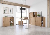 HAMMERBACHER XMST12 elektrisch höhenverstellbarer Schreibtisch nussbaum rechteckig, T-Fuß-Gestell silber 120,0 x 80,0 cm