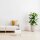relaxdays Wohnzimmer-Hocker mit Stauraum 10029605_49 weiß, 1 St.