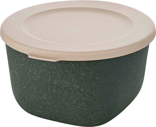 koziol Frischhaltedose Connect 9,3 cm hoch grau 1,0 l, 1 St.