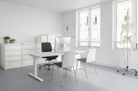 BISLEY ECO Karteischrank lichtgrau 4 Schubladen 57,0 x 62,2 x 91,5 cm, 1 St.