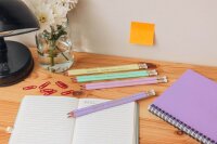 BIC EVOLUTION PASTEL Bleistifte HB rosa, lila, grün, gelb mit Radierer, 10 St.