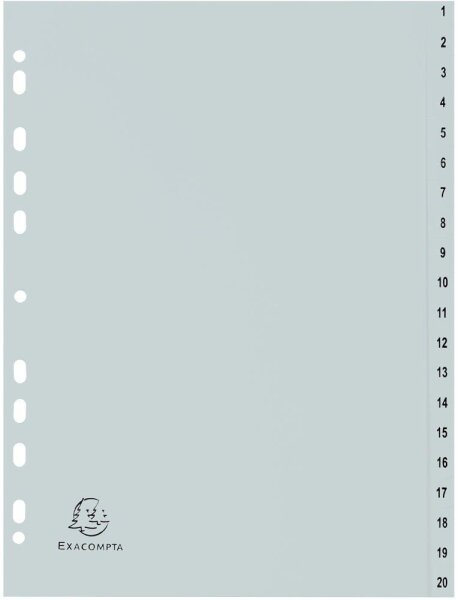 Exacompta Ordnerregister DIN A4 Vollformat 1-20 grau 20-teilig, 1 Satz