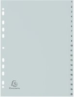 Exacompta Ordnerregister DIN A4 Vollformat 1-20 grau...