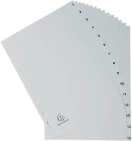 Exacompta Ordnerregister DIN A4 Vollformat 1-15 grau...