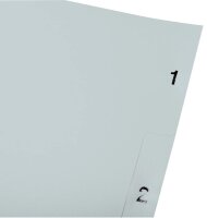 Exacompta Ordnerregister DIN A4 Vollformat 1-5 grau 5-teilig, 1 Satz