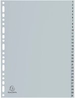 Exacompta Ordnerregister DIN A4 Vollformat 1-31 grau...