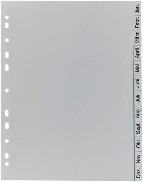 Exacompta Ordnerregister DIN A4 Vollformat Jan.-Dez. grau 12-teilig, 1 Satz