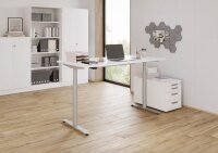 HAMMERBACHER VXDLR12 elektrisch höhenverstellbarer Schreibtisch weiß rechteckig, T-Fuß-Gestell silber 120,0 x 80,0 cm