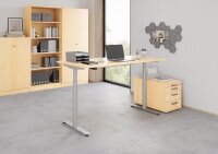 HAMMERBACHER VXDLR12 elektrisch höhenverstellbarer Schreibtisch ahorn rechteckig, T-Fuß-Gestell silber 120,0 x 80,0 cm