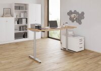 HAMMERBACHER VXDLR12 elektrisch höhenverstellbarer Schreibtisch asteiche rechteckig, T-Fuß-Gestell silber 120,0 x 80,0 cm